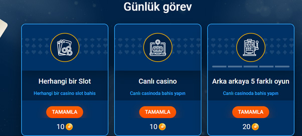 Günlük ödevleri