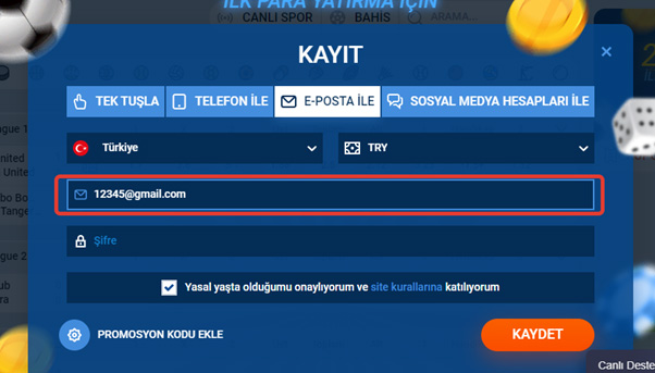 Web sitesindeki kayıt formu